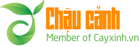 Mẫu Website Bán Cây Cảnh – MauWebsite.io.vn